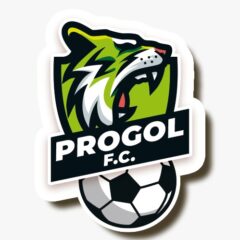 Fundacion Progol FC